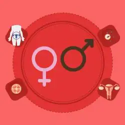 Educação Sexual nas escolas