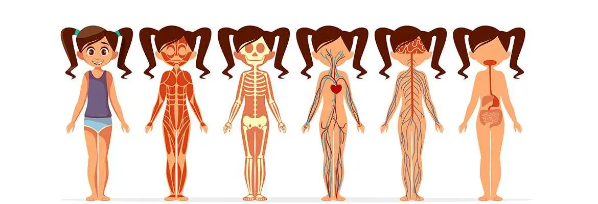 Fisiologia do Exercício Fisiologia do Exercício