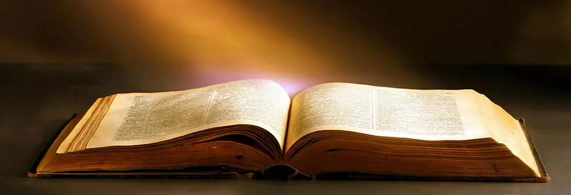 Reflexão e Estudo da Bíblia Reflexão e Estudo da Bíblia