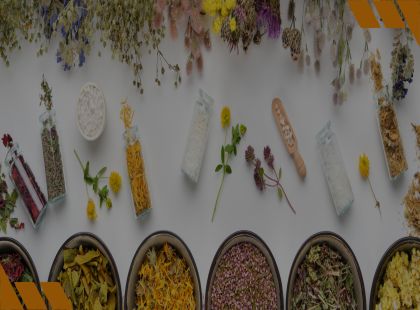 Cultivo e Uso de Plantas Medicinais