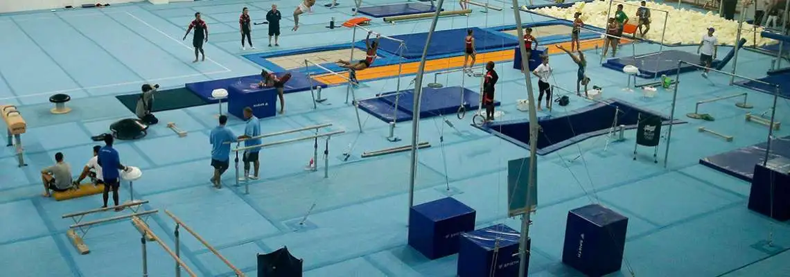 Metodologia do Ensino da Ginástica na Escola Metodologia do Ensino da Ginástica na Escola