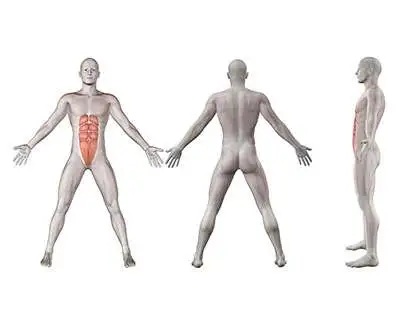 Fisiologia do Exercício Fisiologia do Exercício