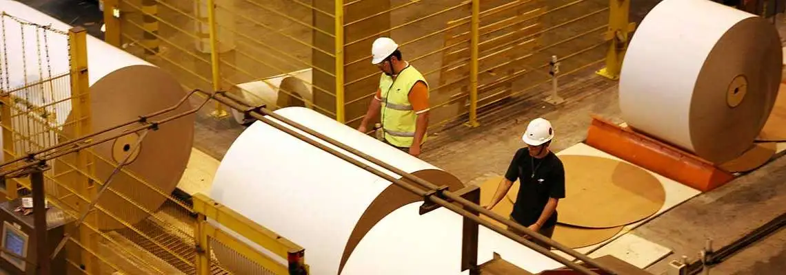 Tecnologia do Papel e Celulose Tecnologia do Papel e Celulose