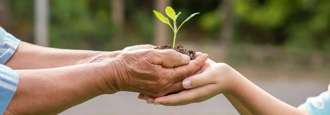 Licenciamento Ambiental Licenciamento Ambiental