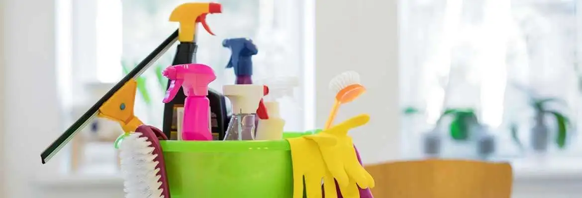 Direitos do(a) empregado(a) doméstico(a) Direitos do(a) empregado(a) doméstico(a)