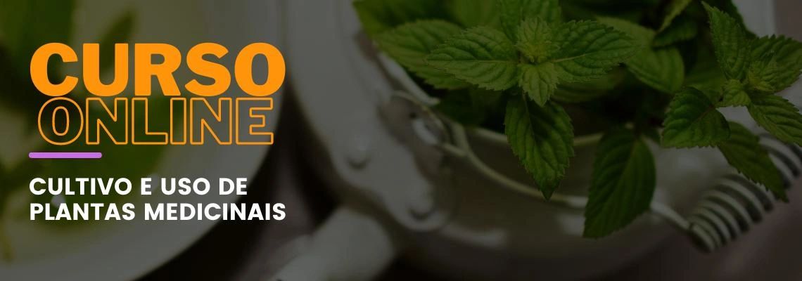 Cultivo e Uso de Plantas Medicinais Cultivo e Uso de Plantas Medicinais
