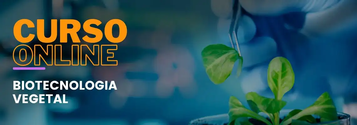 Biotecnologia Vegetal - Cultura de Tecidos  in vitro Biotecnologia Vegetal - Cultura de Tecidos  in vitro