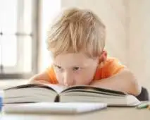 Distúrbios de Aprendizagem e a Educação Inclusiva Distúrbios de Aprendizagem e a Educação Inclusiva