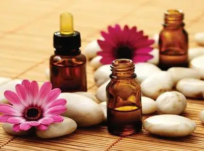 Terapia Florais de Bach Terapia Florais de Bach