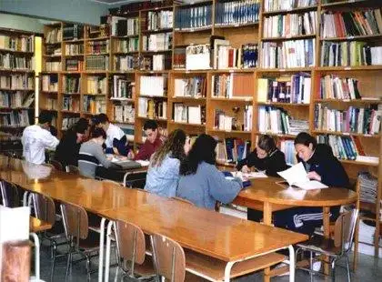 Dinamização e Uso da Biblioteca Pública